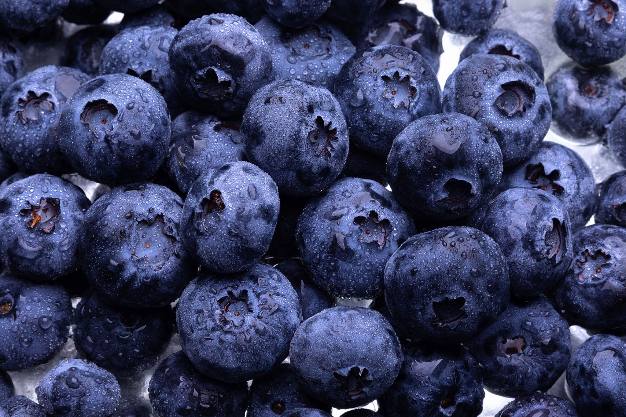 Imagen Blueberries