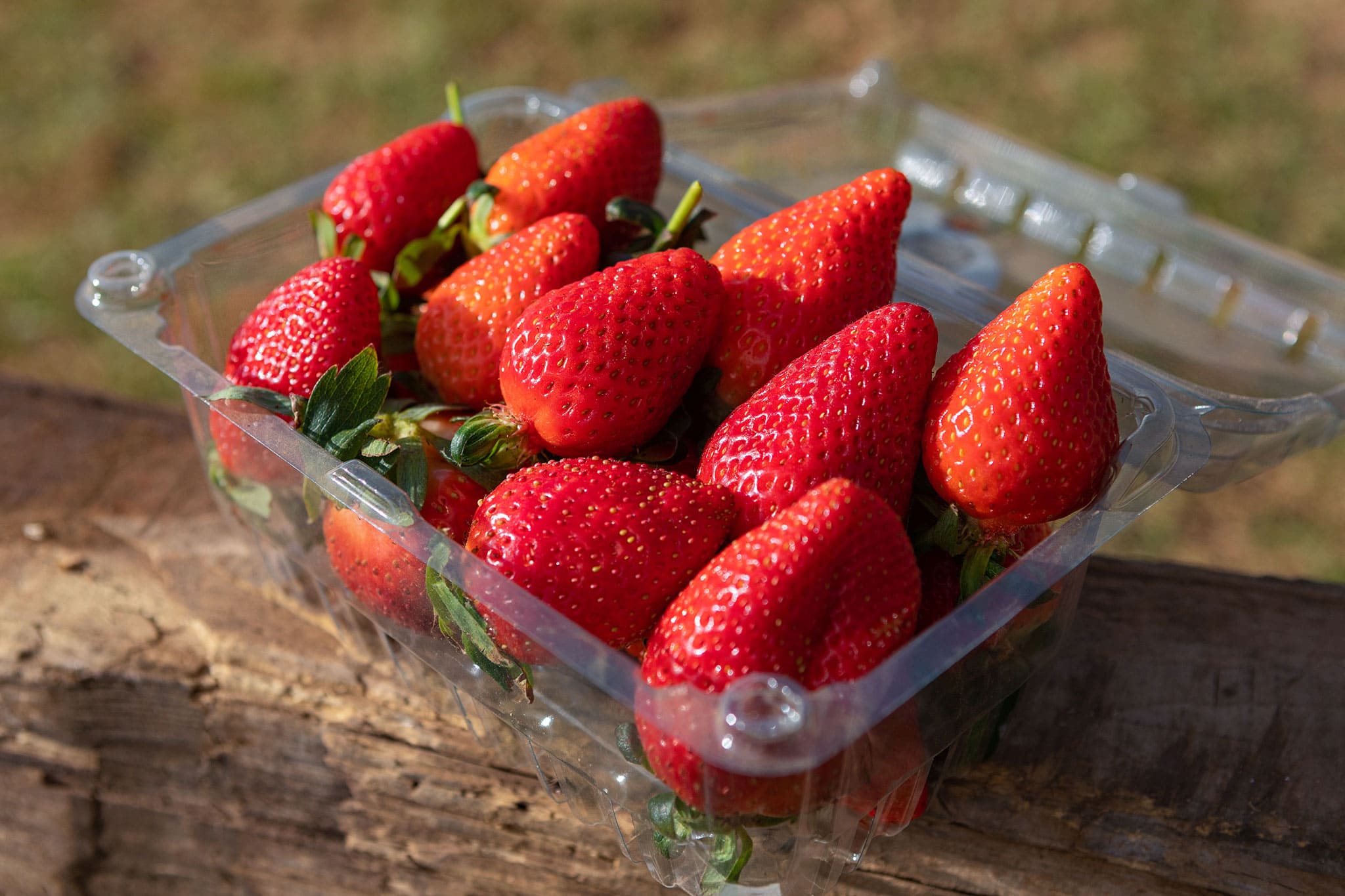 Imagen Strawberry